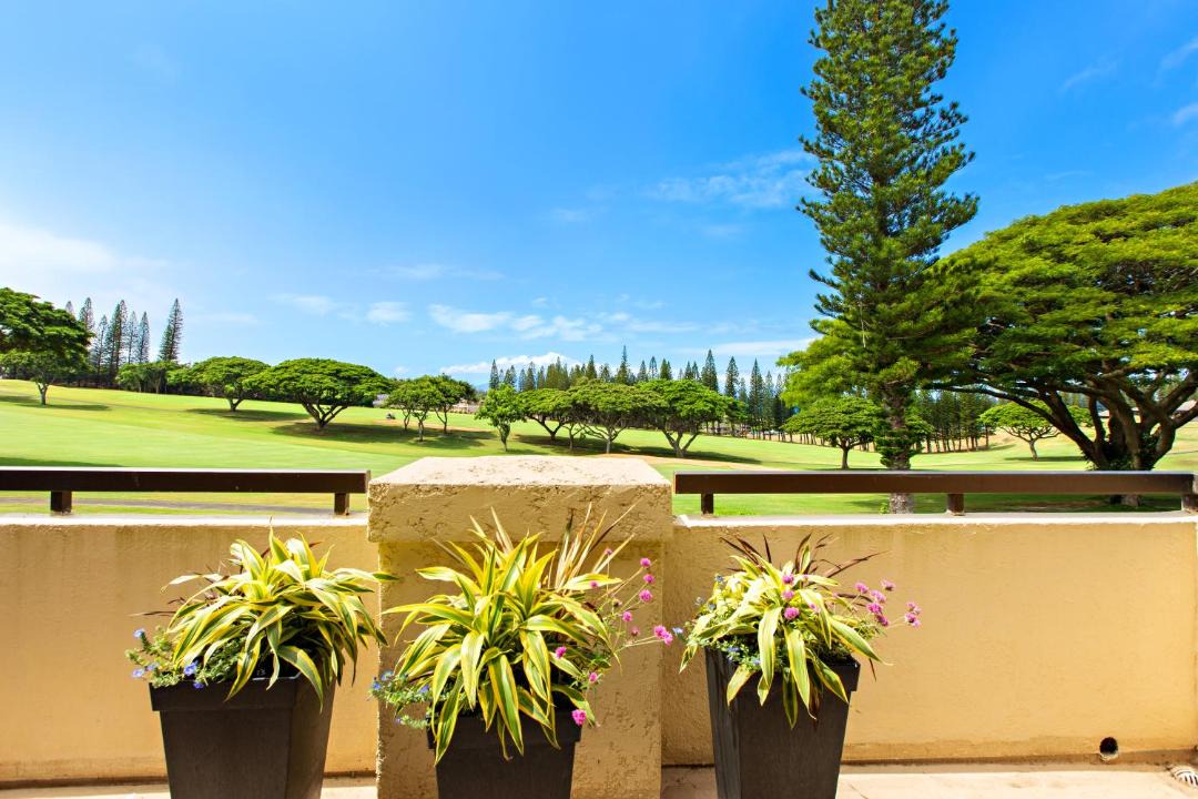 Photo of Others in Kapalua