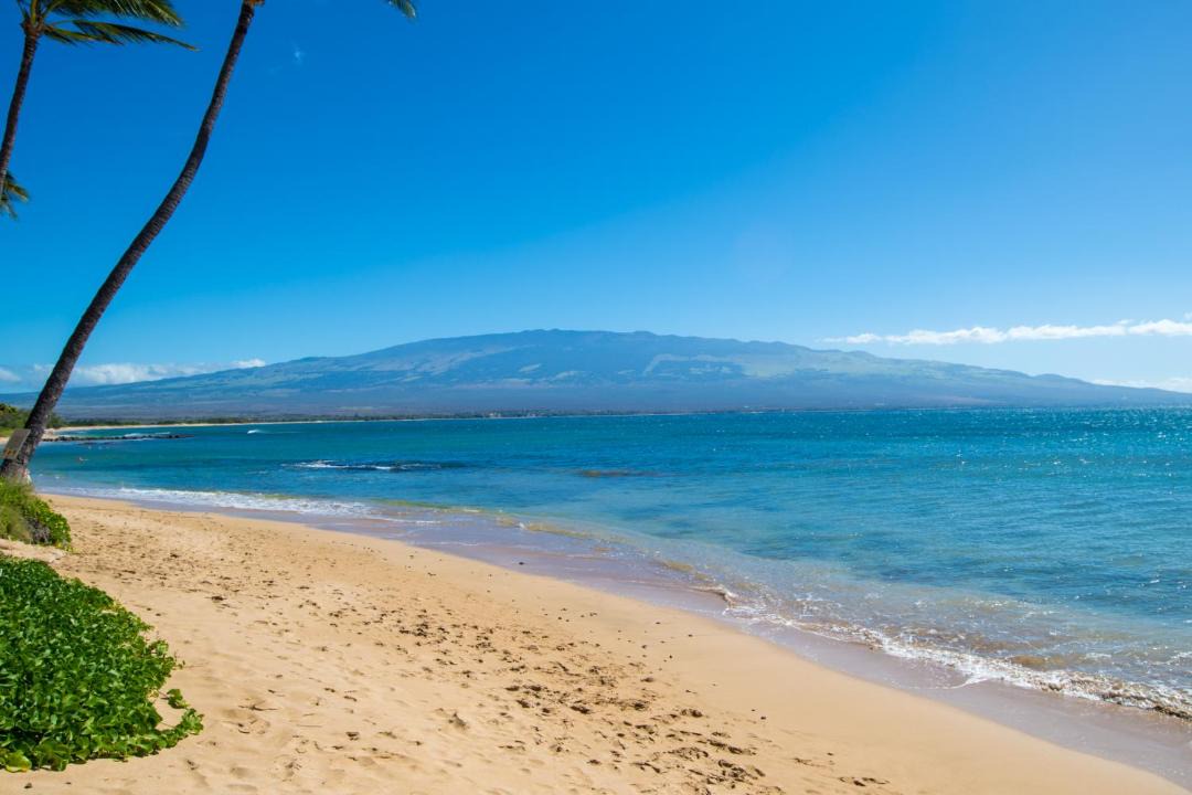 Photo of Others in Maalaea