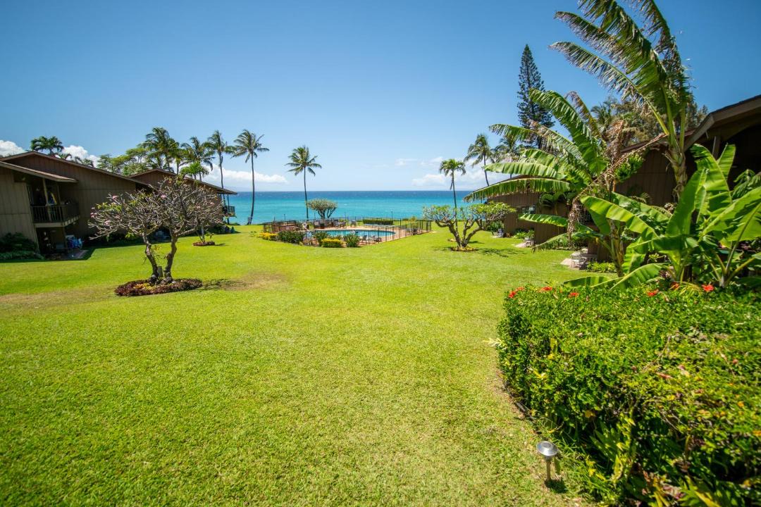 Photo of Others in Honokowai