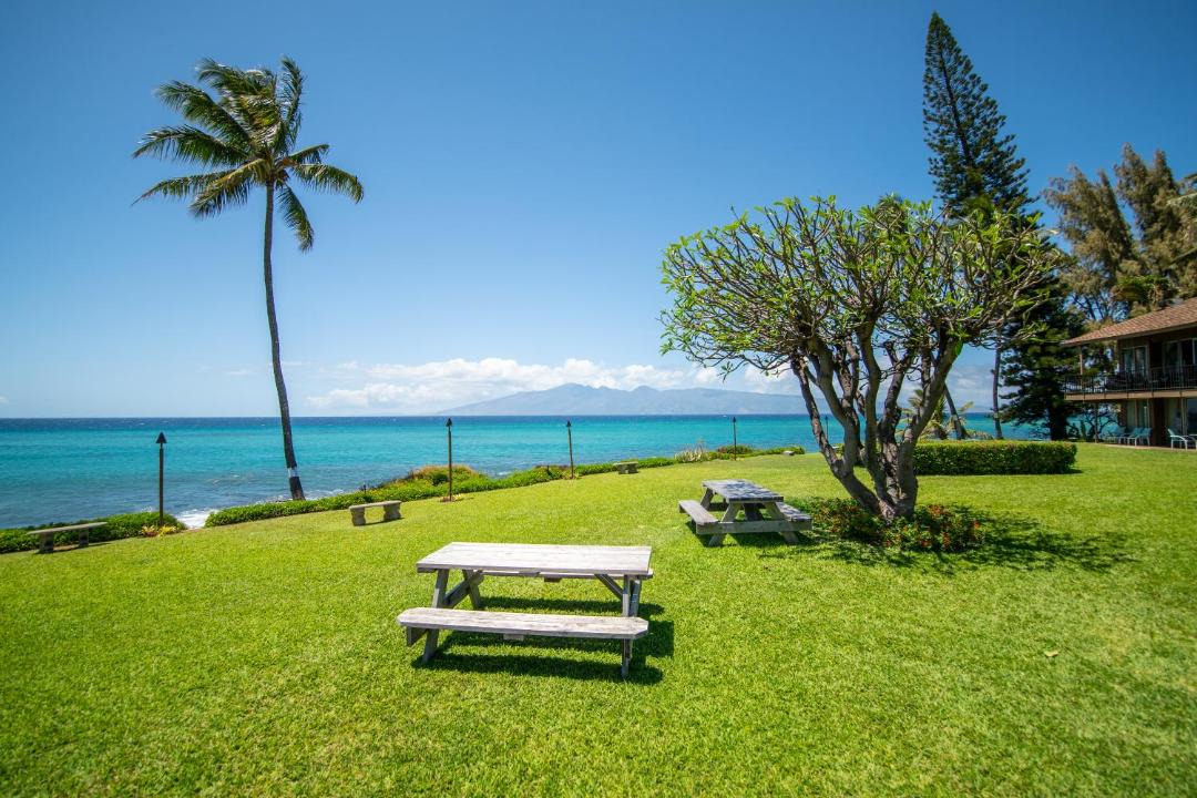 Photo of Others in Honokowai