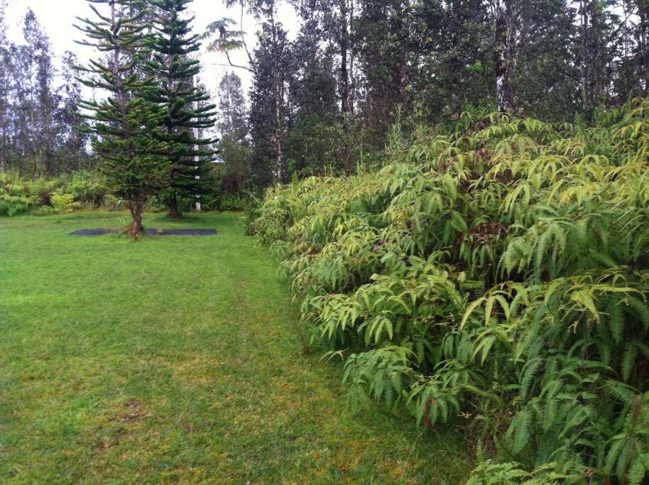 Photo of Outdoor in Orchidlands Estates