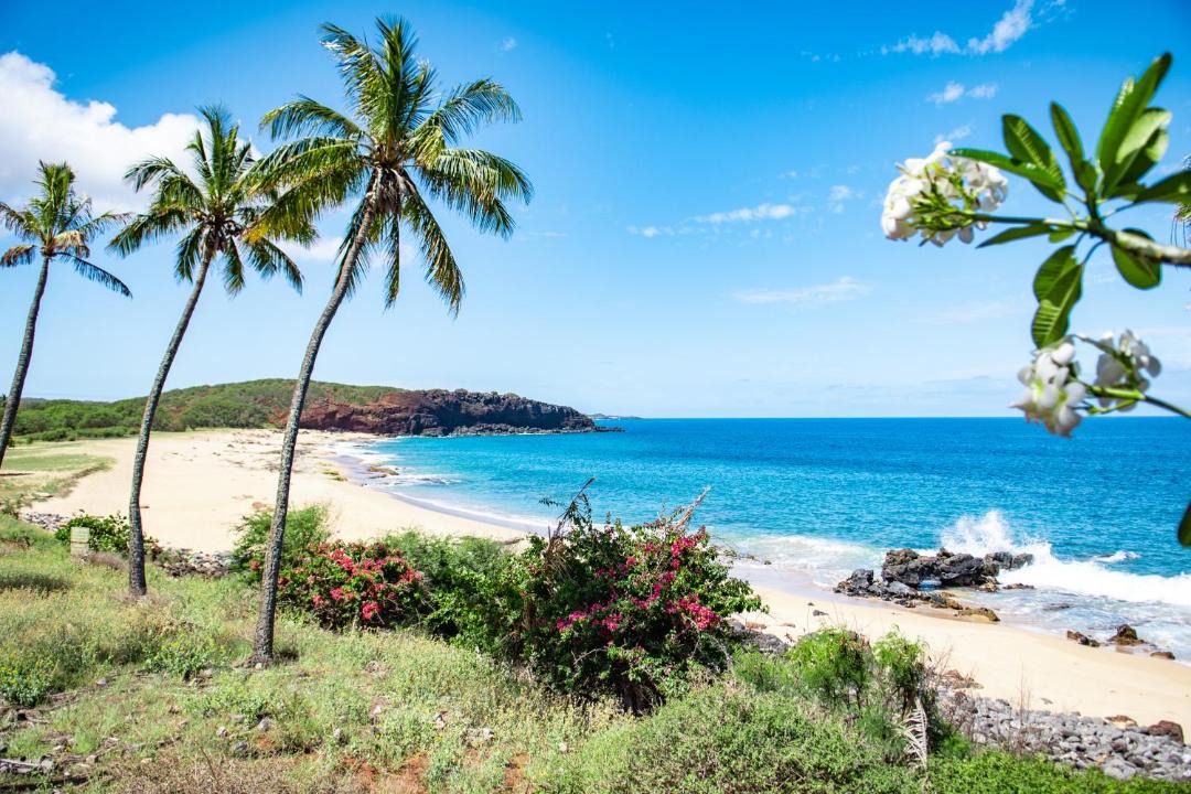 Photo of Outdoor in Maunaloa