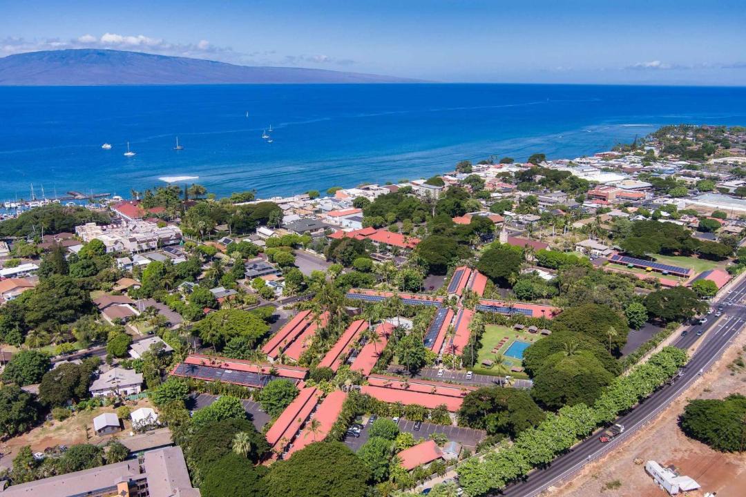 Photo of Others in Historic Lahaina Front Street