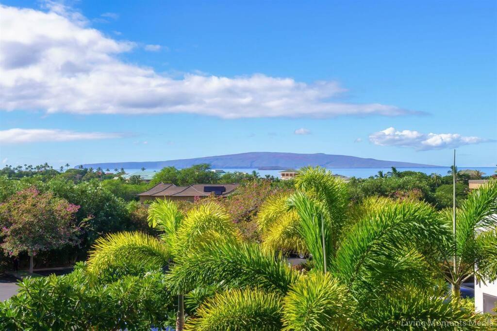 Photo of Outdoor in Wailea