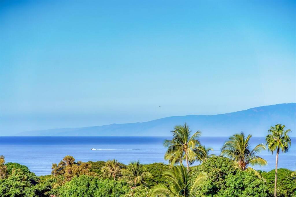 Photo of Others in Wailea