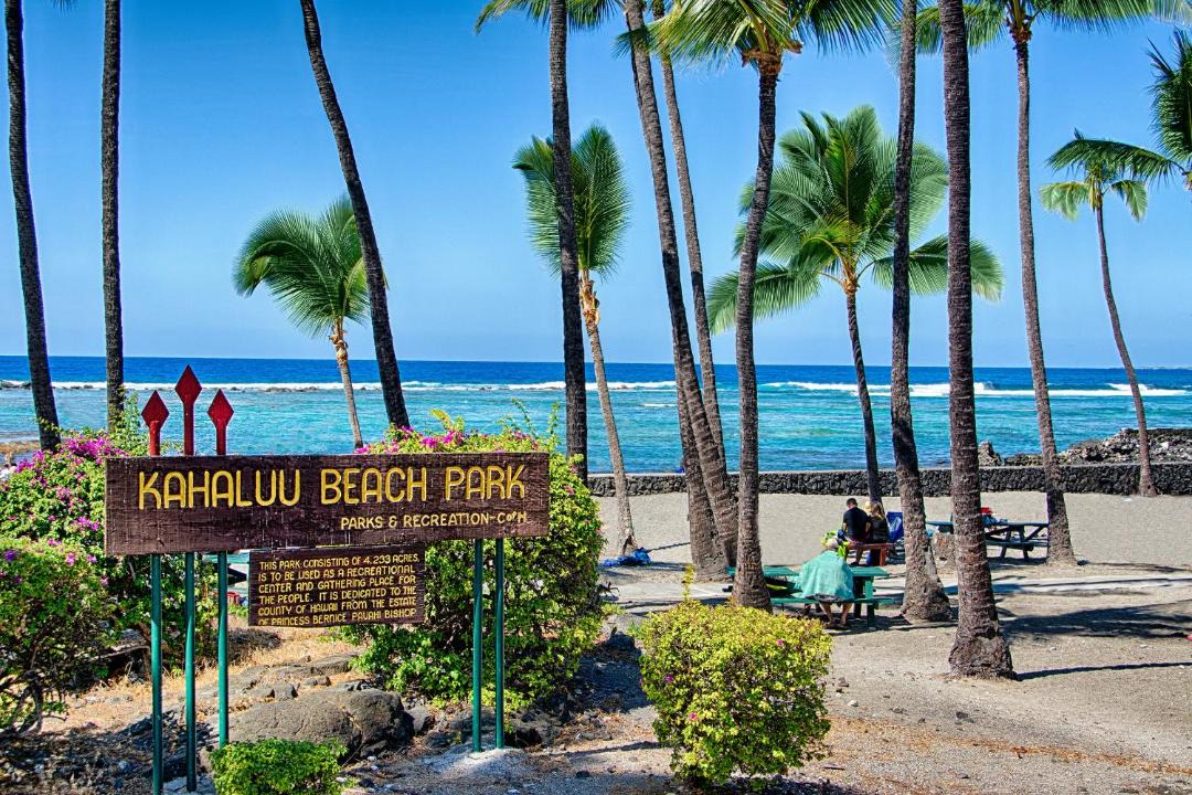 Photo of Others in Kahaluu Bay