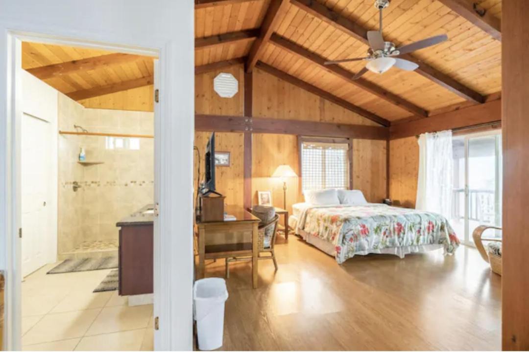 Photo of Livingroom in Captain Cook