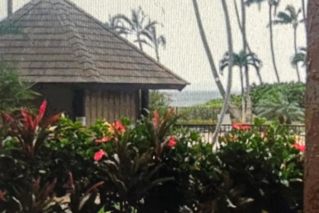 Photo of Others in Maalaea