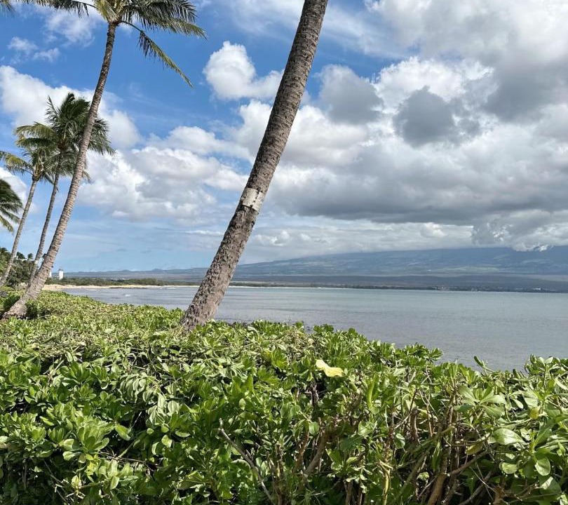 Photo of Others in Maalaea