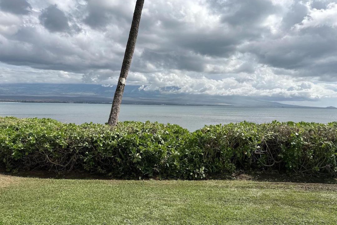 Photo of Others in Maalaea
