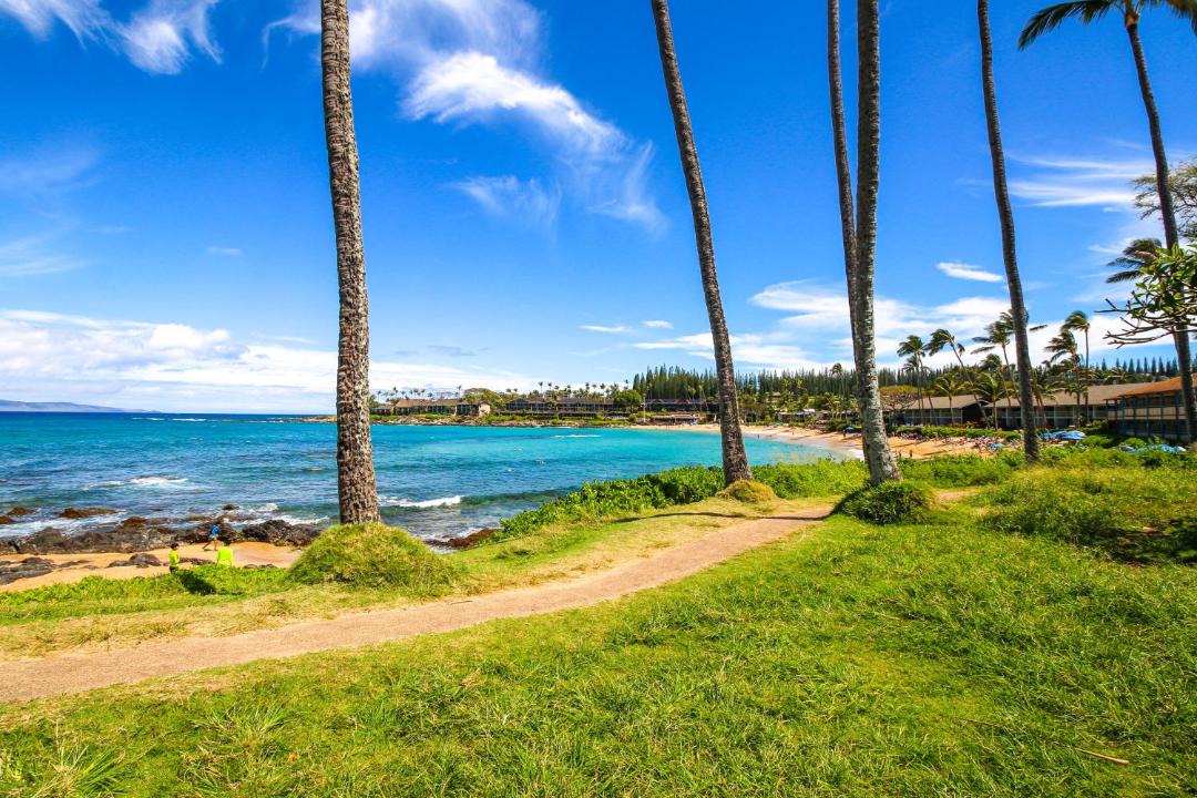 Photo of Others in Napili
