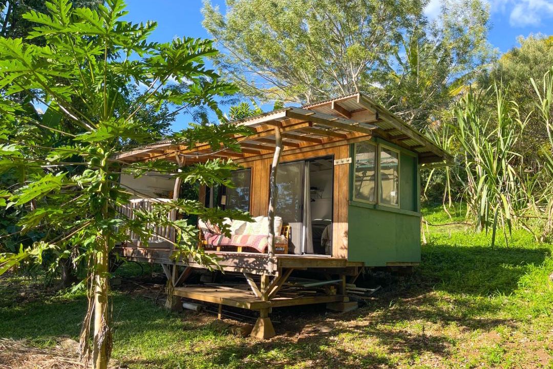 Photo of Others in Kealakekua