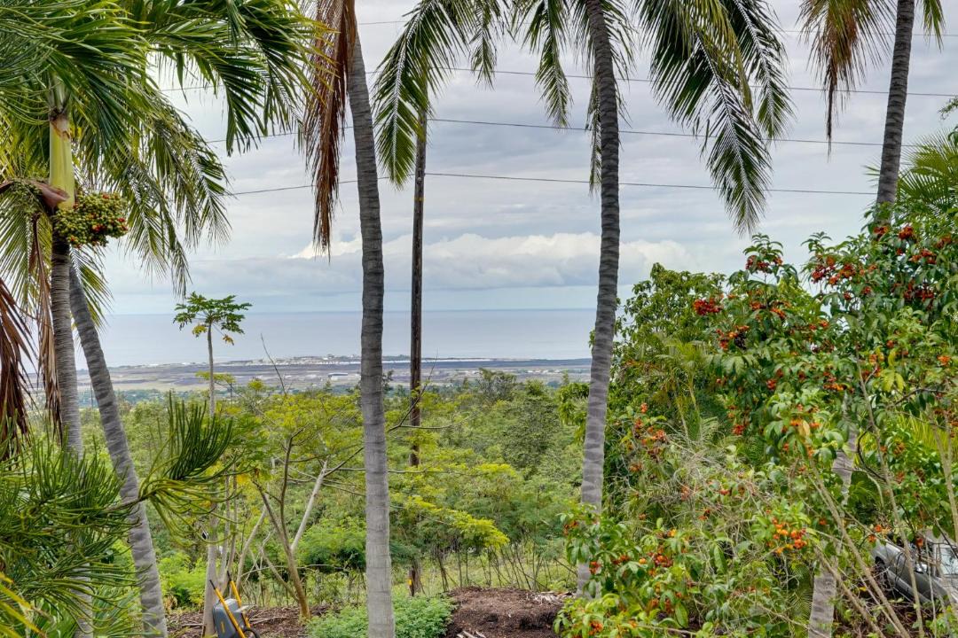Photo of Others in Kona Palisades