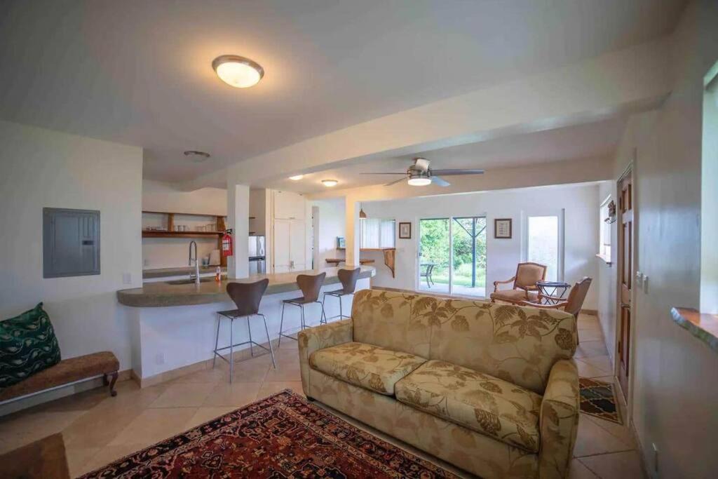 Photo of Livingroom in Hana