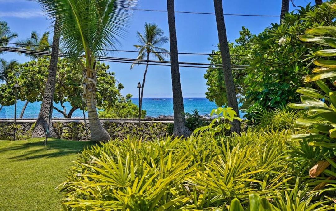 Photo of Others in Historic Kailua Village