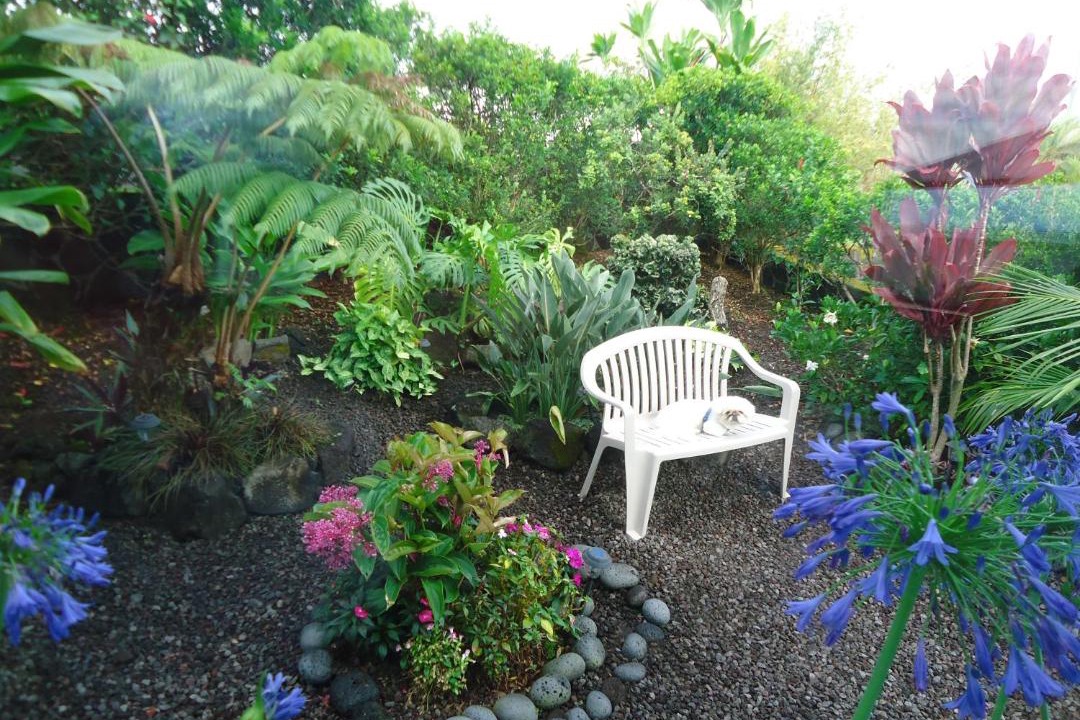 Photo of Others in Hilo
