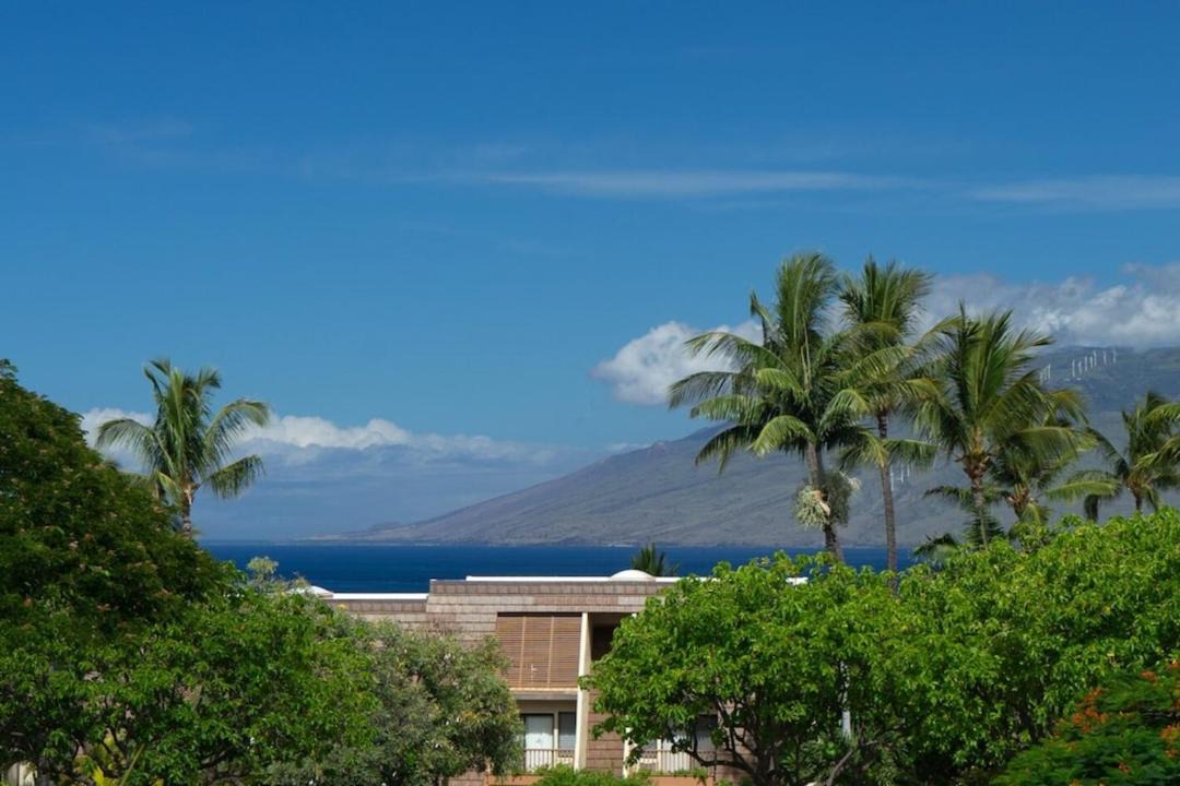 Photo of Others in Kihei