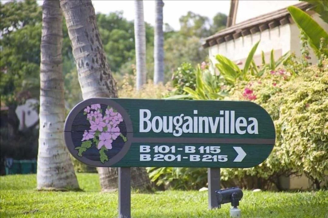 Photo of Buildings in Kihei