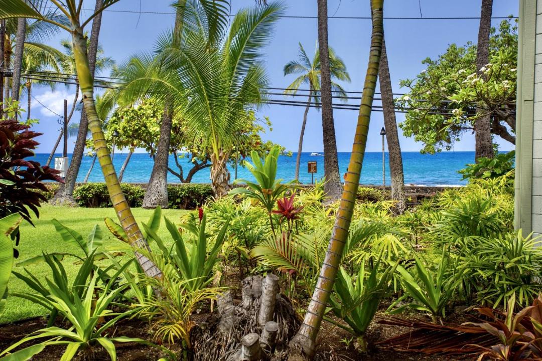 Photo of Others in Historic Kailua Village