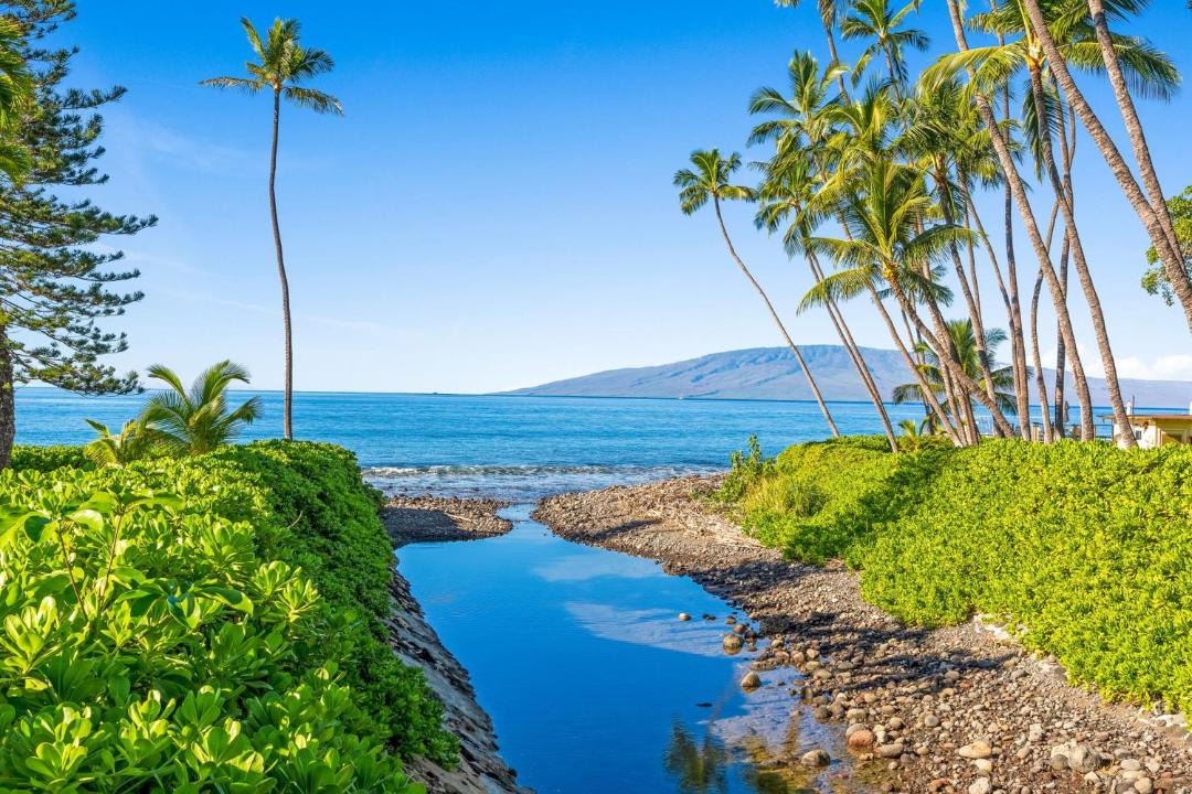 Photo of Others in Historic Lahaina Front Street