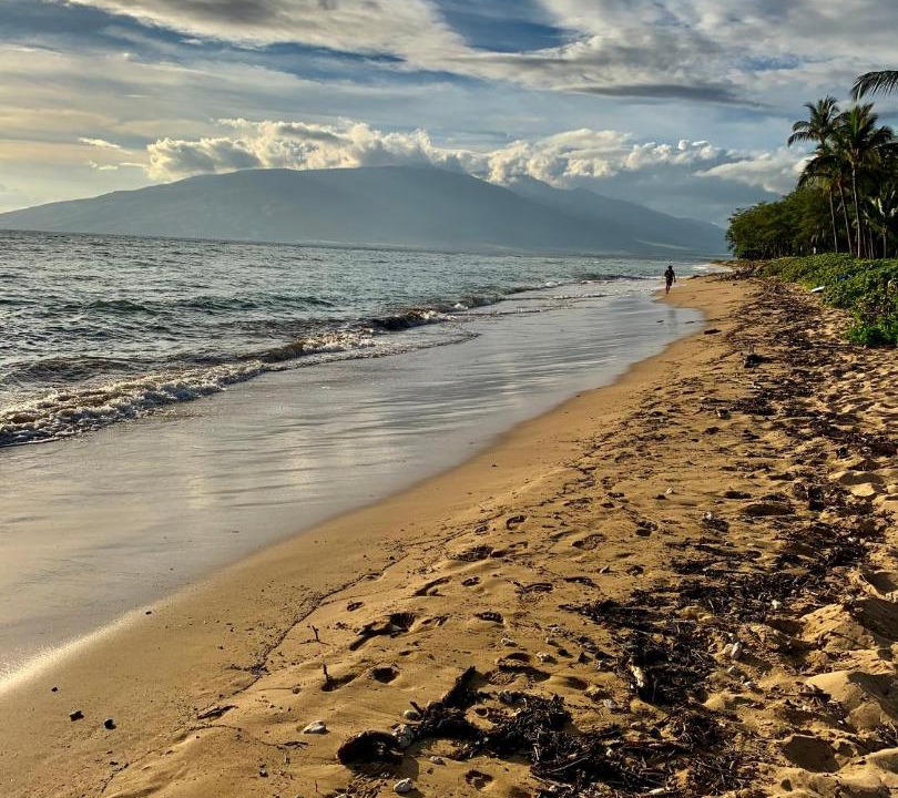 Photo of Others in Kihei