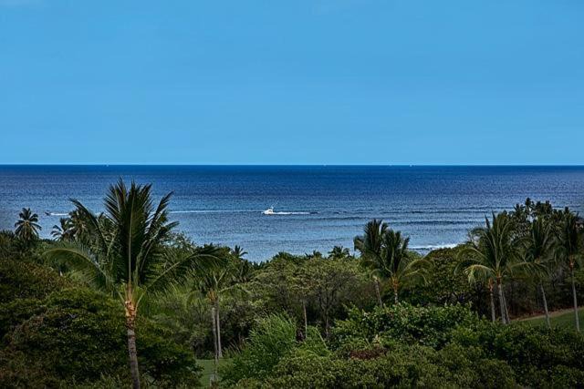 Photo of Others in Keauhou