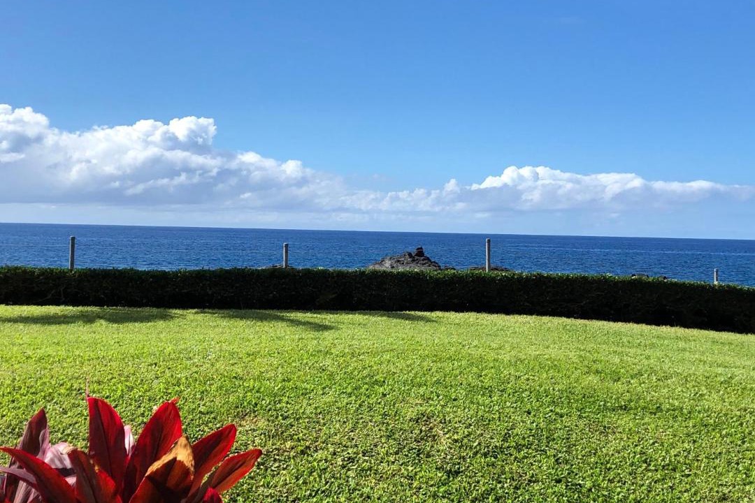 Photo of Others in Kahaluu Bay