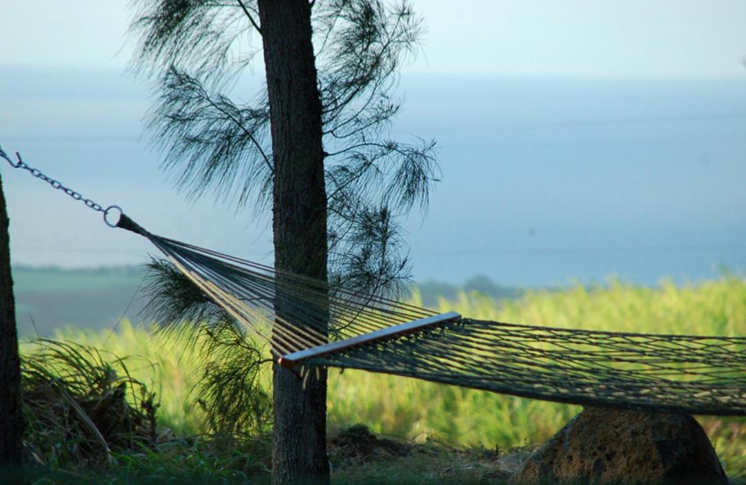Photo of Others in Makawao