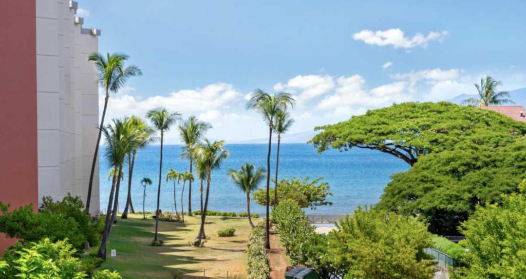 Photo of Others in Honokowai
