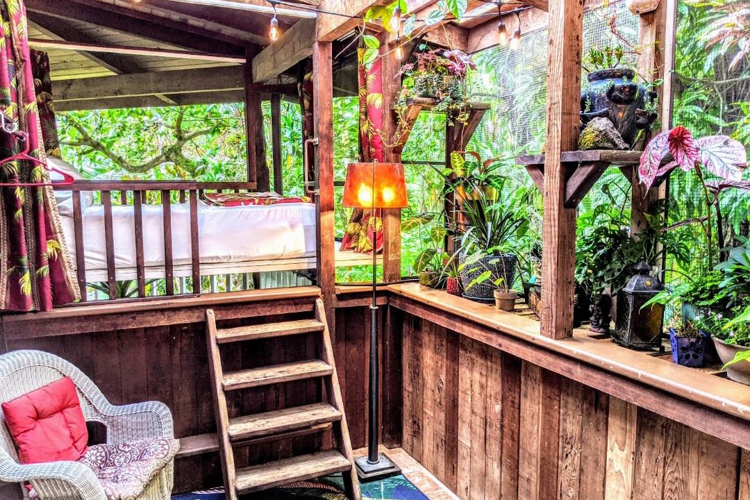 Photo of Patio Balcony in Kehena Beach Estates