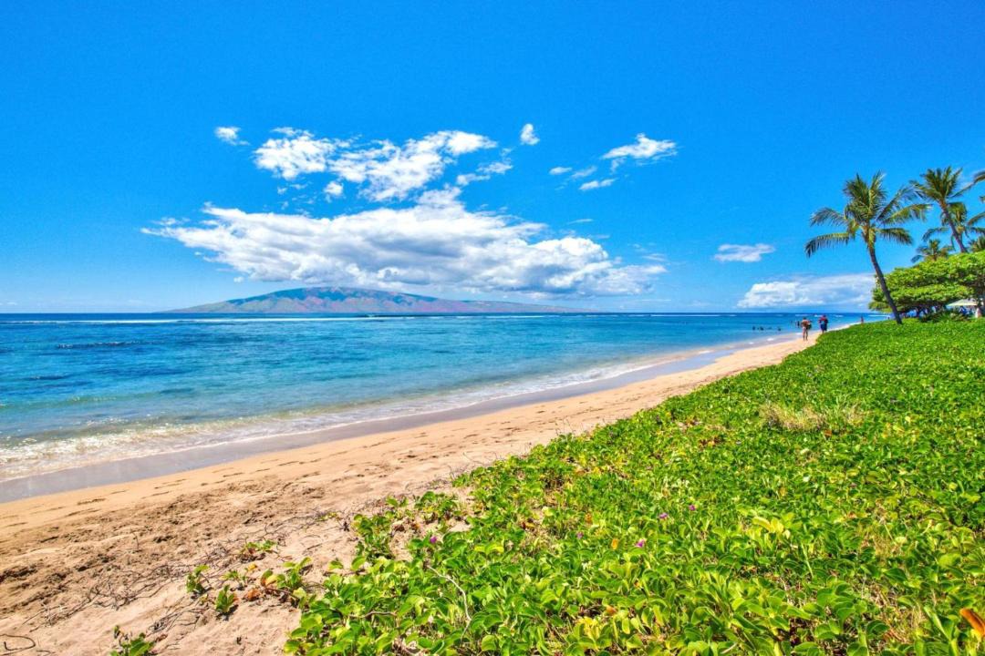 Photo of Others in Historic Lahaina Front Street