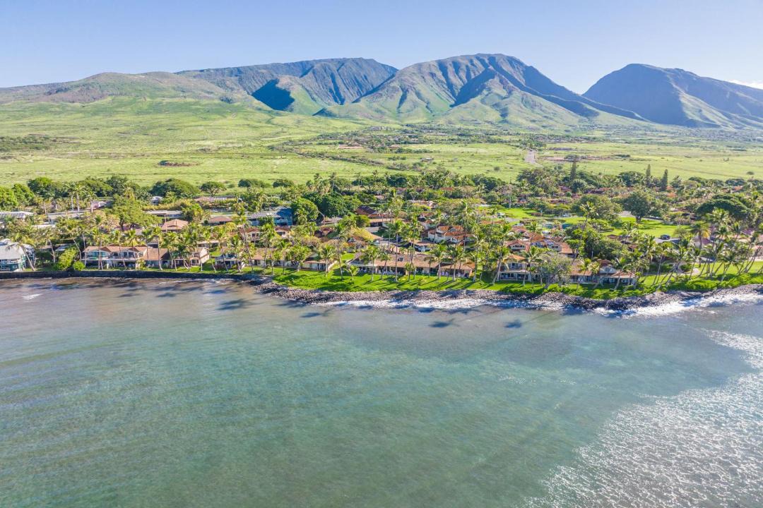 Photo of Others in Historic Lahaina Front Street