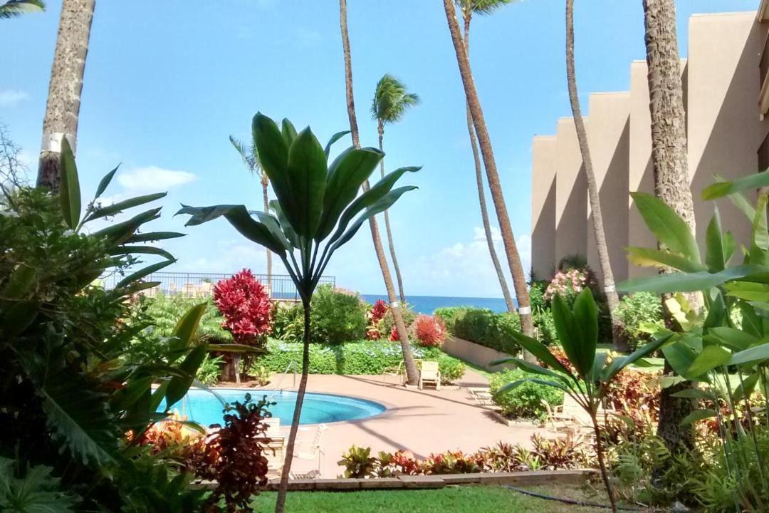 Photo of Others in Honokowai