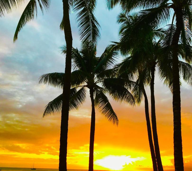 Photo of Others in Waikiki