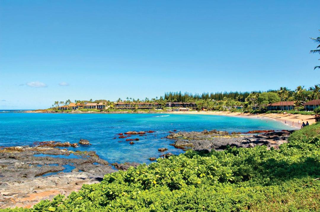 Photo of Others in Napili
