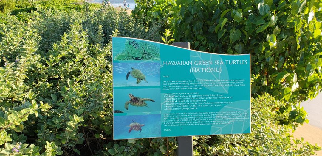 Photo of Outdoor in Honokowai