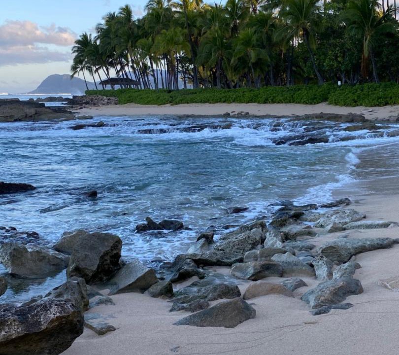 Photo of Others in Ko Olina