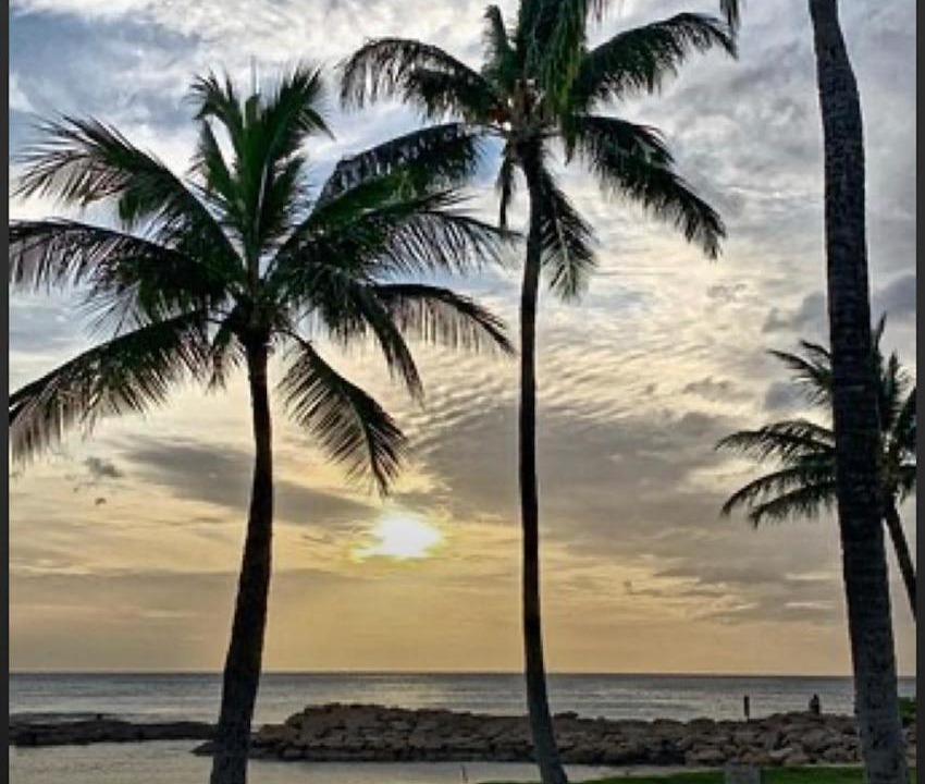 Photo of Others in Ko Olina