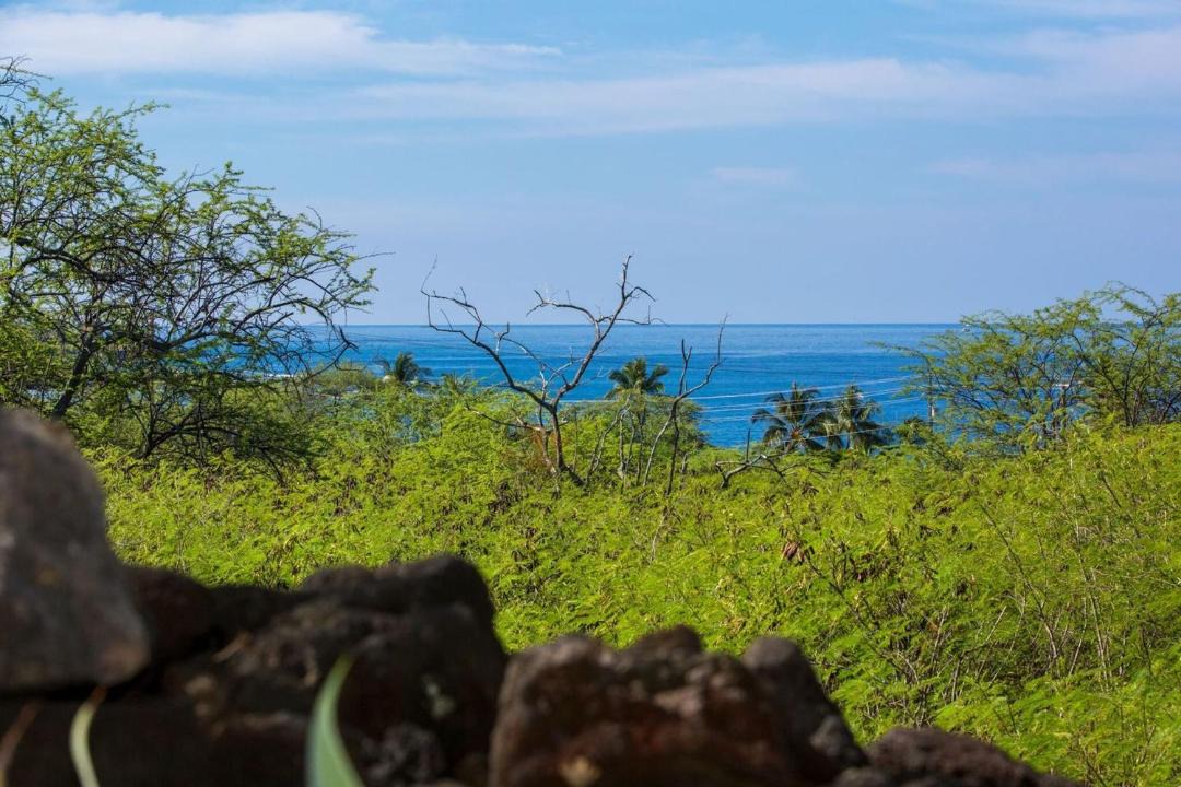 Photo of Others in Kahaluu Bay