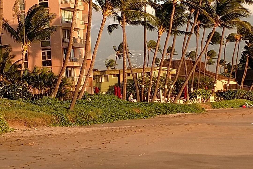 Photo of Others in Kihei