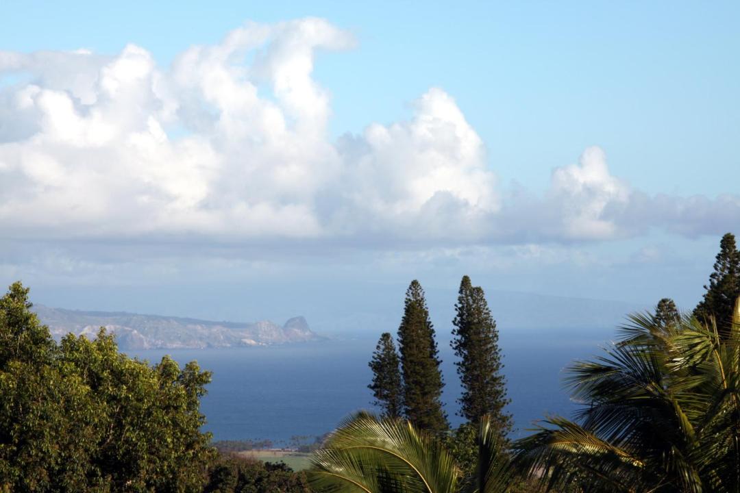 Photo of Others in Makawao
