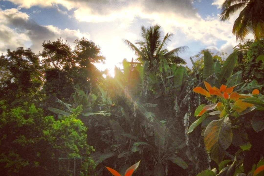 Photo of Others in Hana