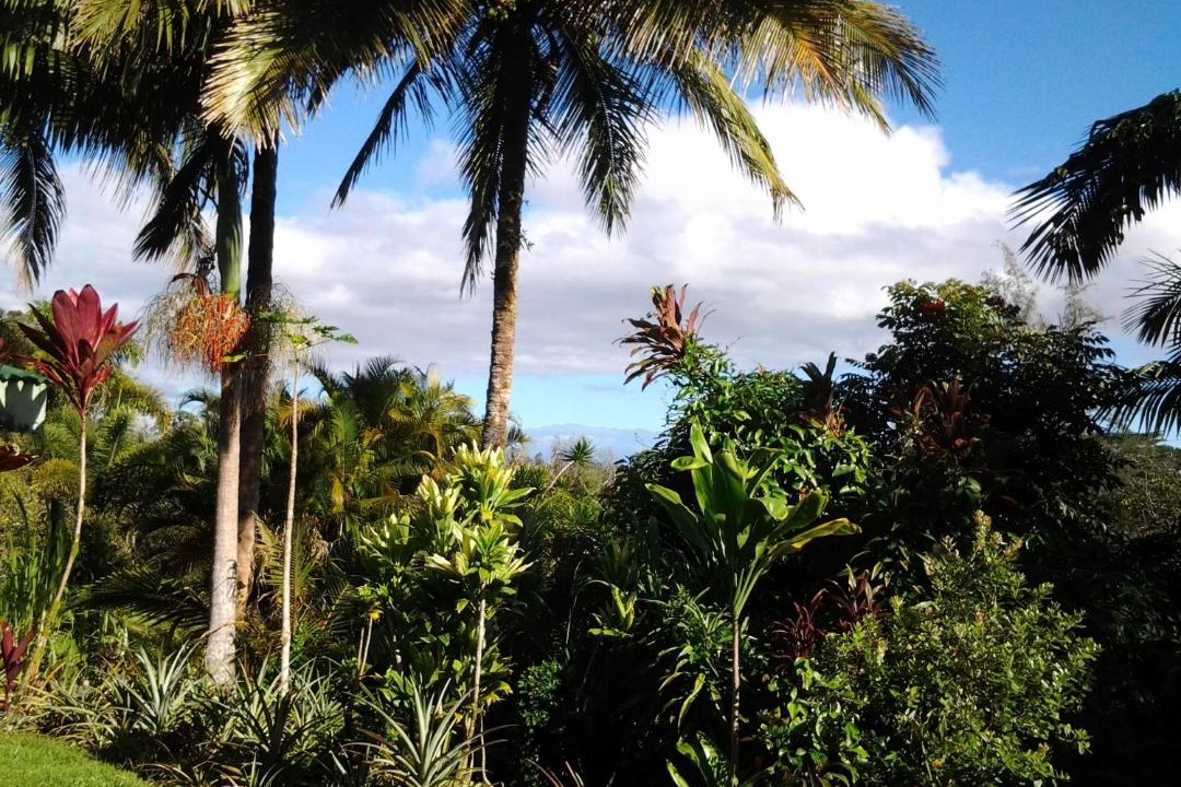 Photo of Others in Kapoho