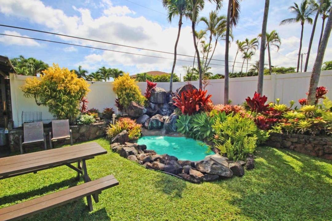 Photo of Others in Napili