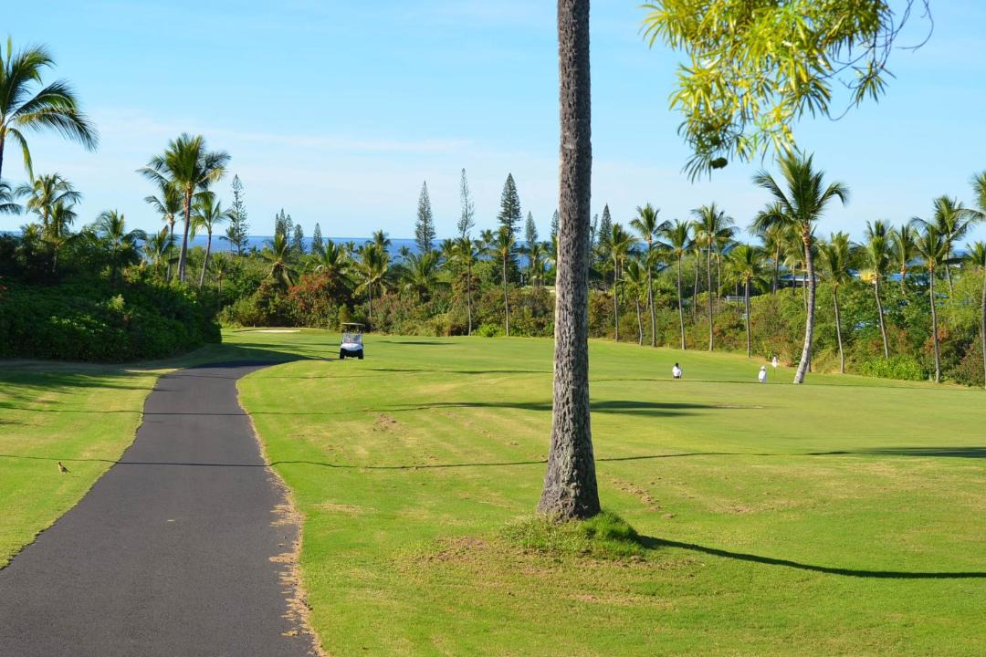 Photo of Others in Waikoloa
