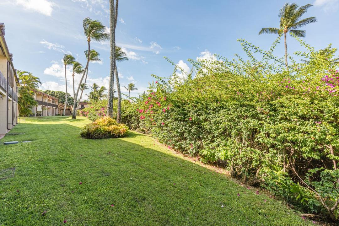 Photo of Others in Napili