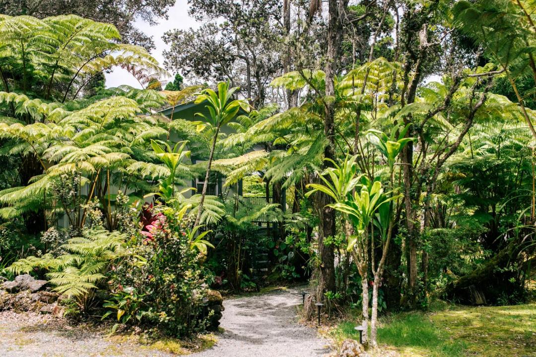 Photo of Outdoor in Volcano