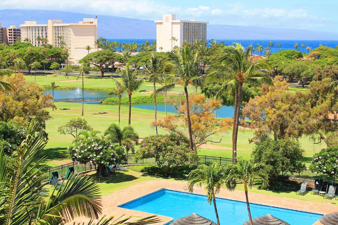 Photo of Others in Kaanapali