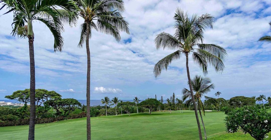 Photo of Outdoor in Keauhou