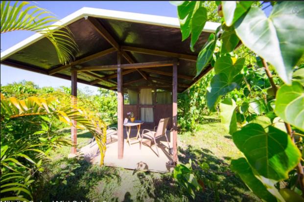Photo of Others in Kapoho
